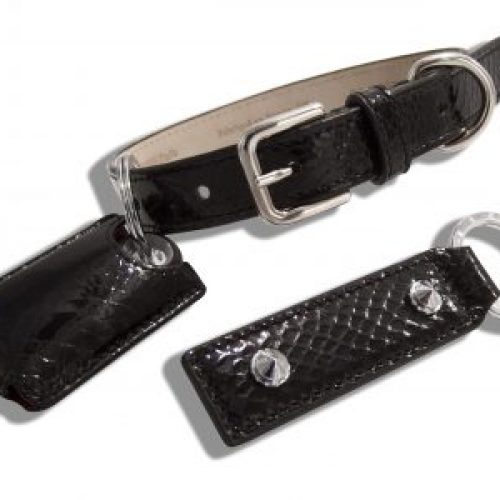 Collier chien/chat 10mm